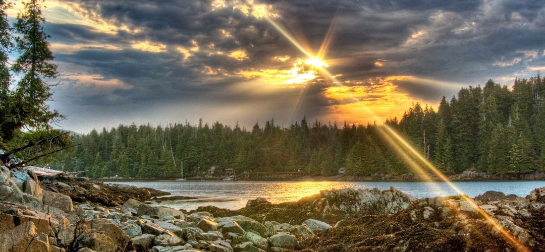 ГОЛЕМАТА БОРБА – Светлост во темнина (четврти дел)