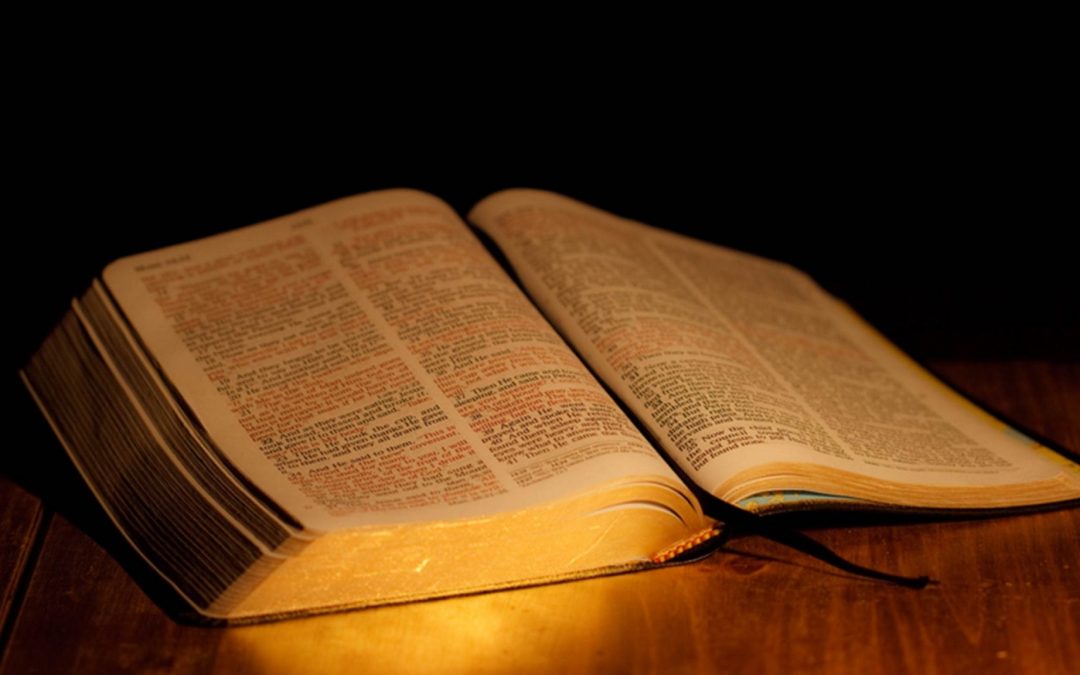 ГОЛЕМАТА БОРБА – Отфрлена опомена (петти дел)