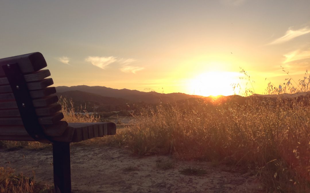 ГОЛЕМАТА БОРБА – Слободата на совеста – загрозена (петти дел)