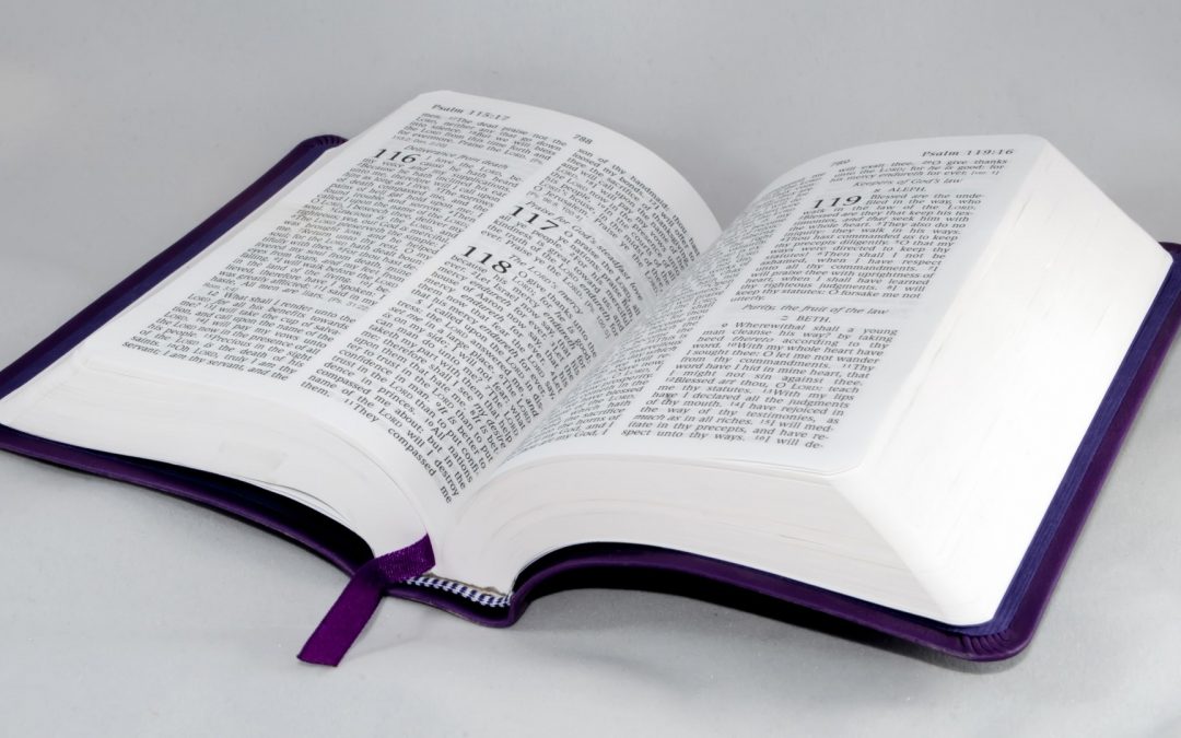 ГОЛЕМАТА БОРБА – Првата голема измама (седми дел)