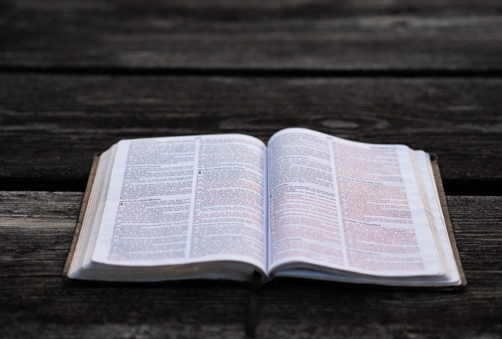 ГОЛЕМАТА БОРБА – Првата голема измама (трет дел)