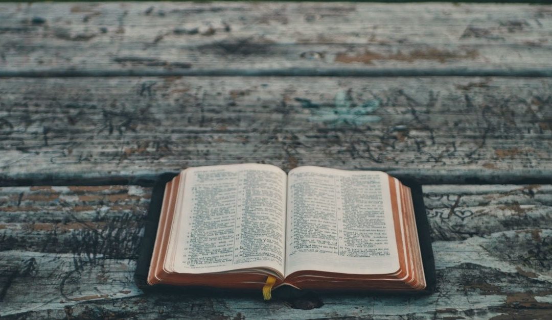 ГОЛЕМАТА БОРБА – Слободата на совеста – загрозена (осми дел)