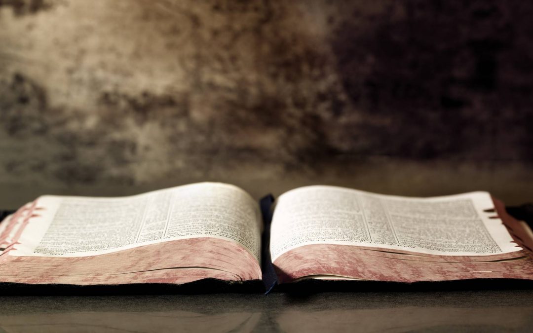 ГОЛЕМАТА БОРБА – Судир кој се приближува (прв дел)