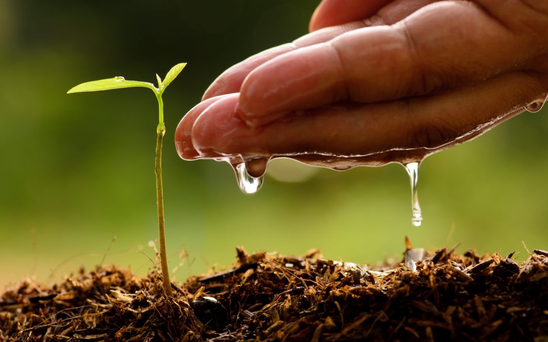 КОПНЕЖОТ НА ВЕКОВИТЕ – 4 декември – Во предворјето на храмот (прв дел)