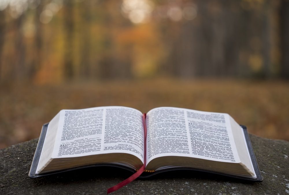 ГОЛЕМАТА БОРБА – Вовед (трет дел)