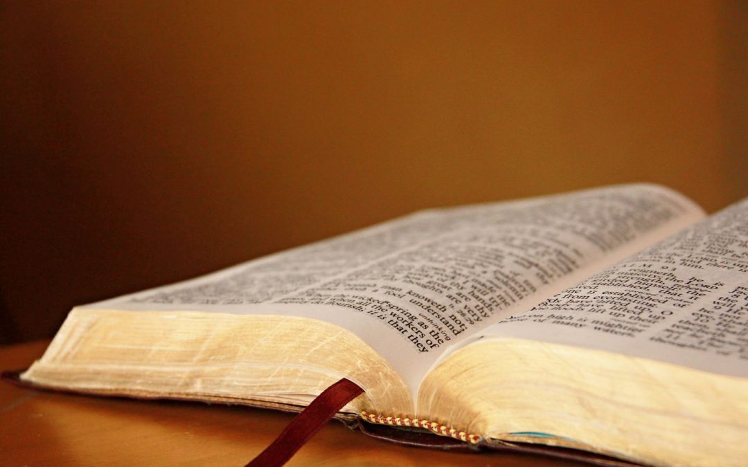 ГОЛЕМАТА БОРБА – Вовед (втор дел)