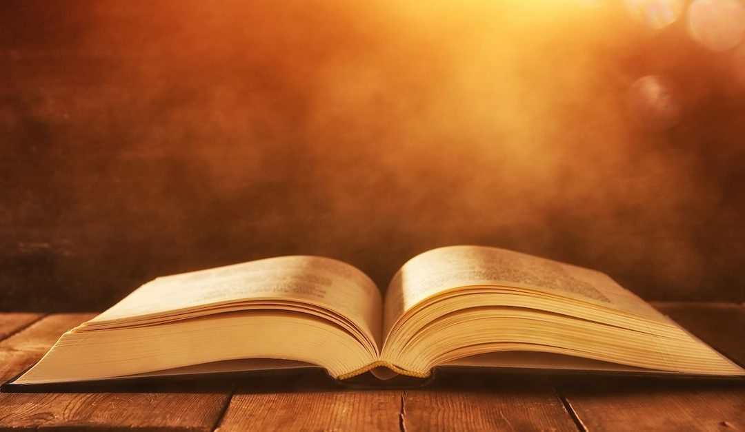 ГОЛЕМАТА БОРБА – Напредок на реформацијата во Германија (втор дел)