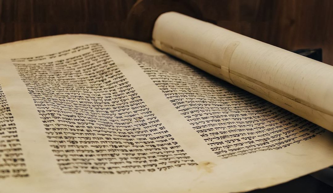 ГОЛЕМАТА БОРБА – Лутер пред државниот собор (трет дел)